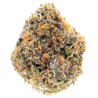 Black Cherry Gushers > Barney\'s Farm | Semillas feminizadas  |  Híbrido