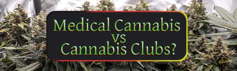 Medizinisches Cannabis oder Cannabis-Clubs