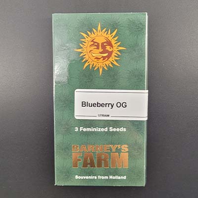 Blueberry OG > Barney\'s Farm | Feminisierte Hanfsamen  |  Indica