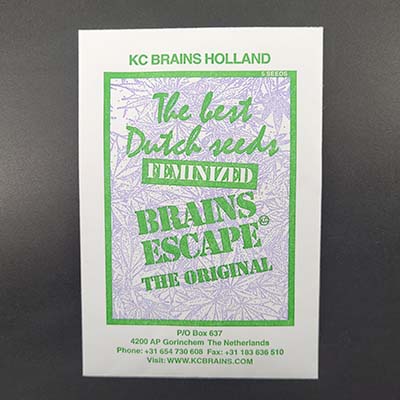 Brains Escape > KC Brains | Feminisierte Hanfsamen  |  Indica