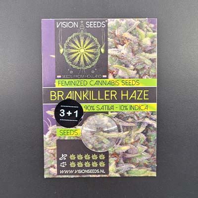 Brainkiller Haze > Vision Seeds | Feminisierte Hanfsamen  |  Sativa