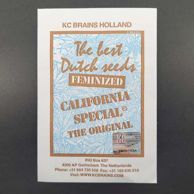 California Special > KC Brains | Semillas feminizadas  |  Índica