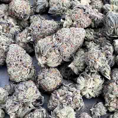 Candy Candy > Cookies Seedbank | Semillas feminizadas  |  Sativa