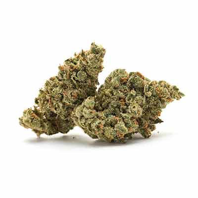 Candy Cream Go Fast > Kannabia Seeds | Feminized Marijuana   |  Hybrid