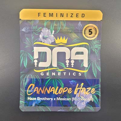 Cannalope Haze > DNA Genetics | Feminisierte Hanfsamen  |  Sativa