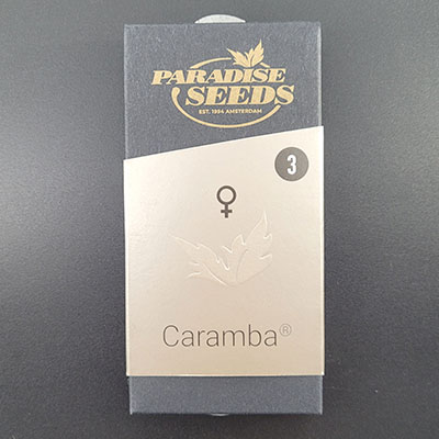 Caramba > Paradise Seeds | Graines Féminisées  |  Indica