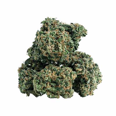 Cheese Ghost Train > Linda Seeds | Feminized Marijuana   |  Sativa