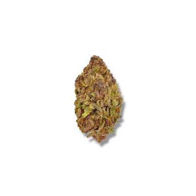 Cherry Crisp > Perfect Tree | Feminized Marijuana   |  Sativa