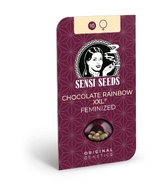 Chocolate Rainbow XXL > Sensi Seeds | Graines Féminisées  |  Hybride