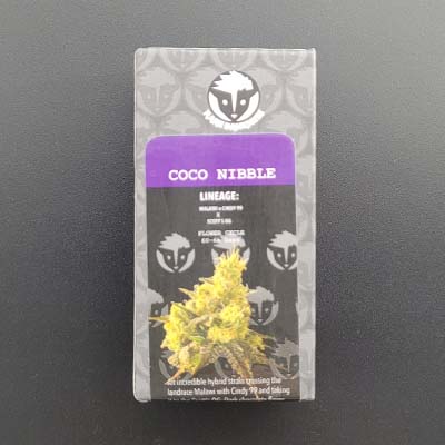 Coco Nibbles > Rare Dankness Seeds | Feminisierte Hanfsamen  |  Hybrid