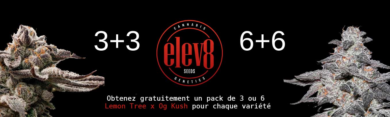 Elev8 Seeds