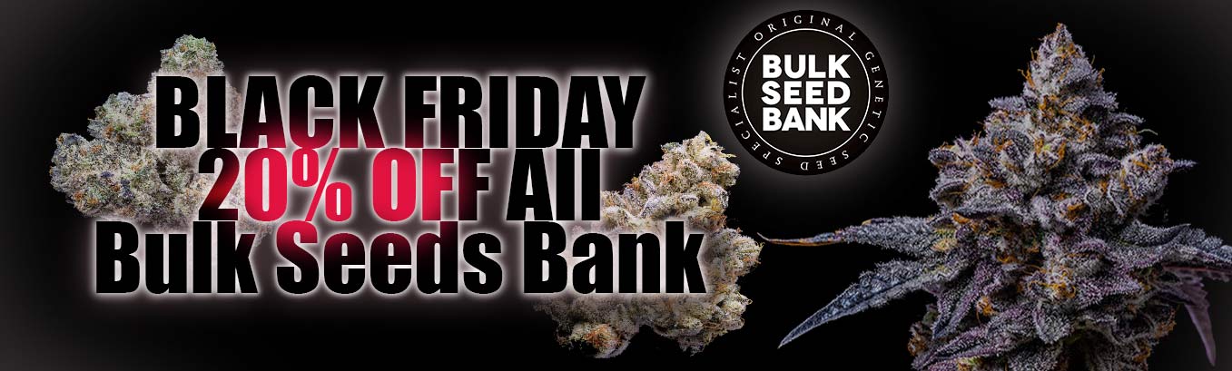 Offres du Black Friday - Bulk Seeds Bank !