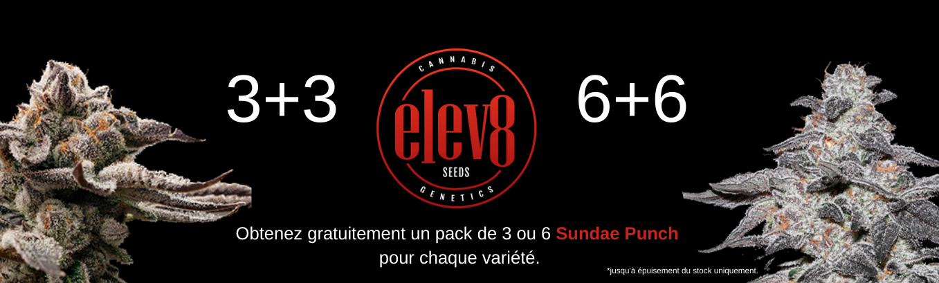 Elev8 Seeds