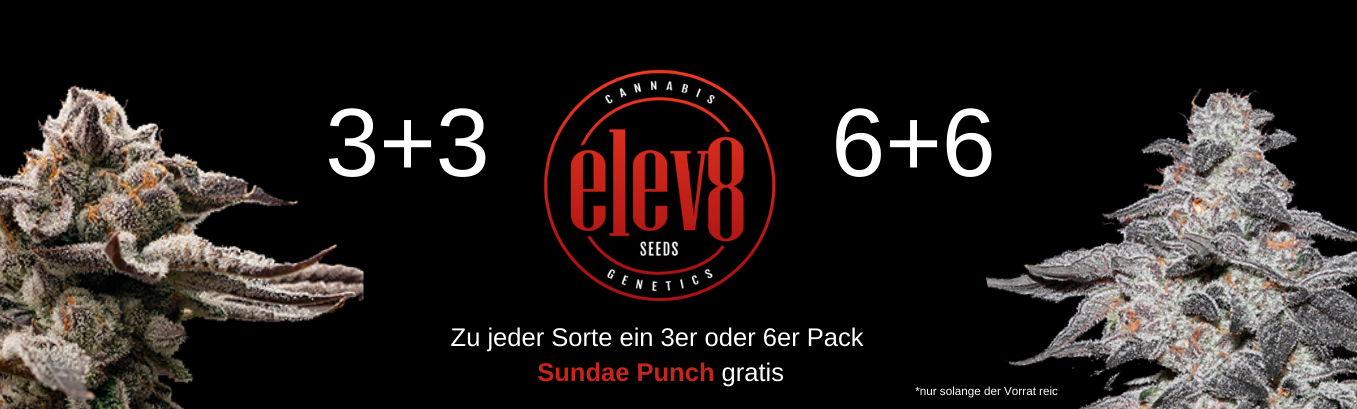 Elev8 Seeds