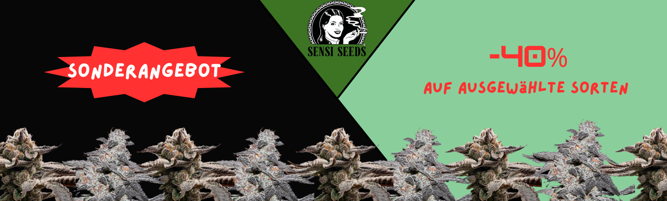 Sensi Seeds Angebot!