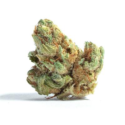 Copacobana > Anesia Seeds | Feminized Marijuana   |  Sativa