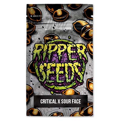 Critical x Sour Face > Ripper Seeds | Feminized Marijuana   |  Hybrid