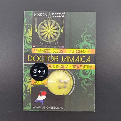 Auto Doctor Jamaica > Vision Seeds | Autoflowering Hanfsamen  |  Indica