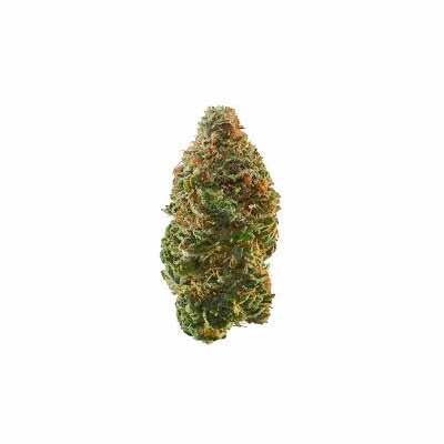 F-Cut-LRTK > Rare Darkness | Regular Marijuana   |  Indica