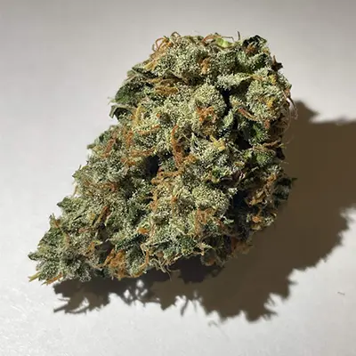 Fat Monkey Auto > Anesia Seeds | Graines Autofloraison  |  Sativa