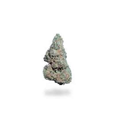 Fire\'n Ice > Elev8 Seeds | Feminisierte Hanfsamen  |  Sativa