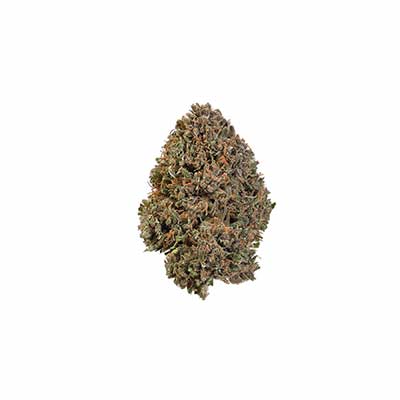 Frosty Tooth > Seed Stockers | Feminisierte Hanfsamen  |  Indica