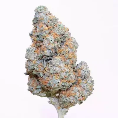 Frozen Black Cherry > Anesia Seeds | Feminized Marijuana   |  Indica