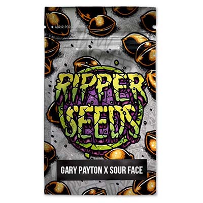 Gary Payton X Sour Face > Ripper Seeds | Feminized Marijuana   |  Hybrid