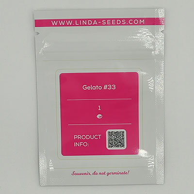 Gelato #33 > Linda Seeds | NOS RECOMMANDATIONS DE GRAINES DE CANNABIS  |  Graines de Cannabis à prix bas