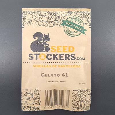 Gelato 41 > Seed Stockers | Feminisierte Hanfsamen  |  Hybrid