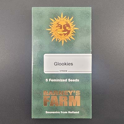 Glookies > Barneys Farm | Feminisierte Hanfsamen  |  Indica