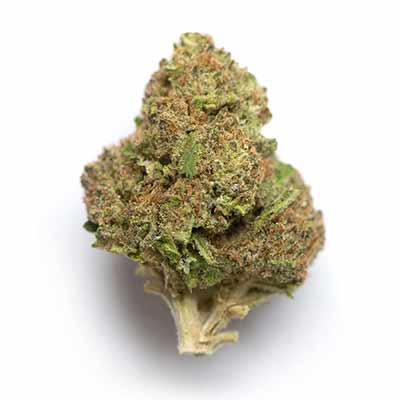 Glowberry Rush Auto > Anesia Seeds | Graines de cannabis auto  |  Indica