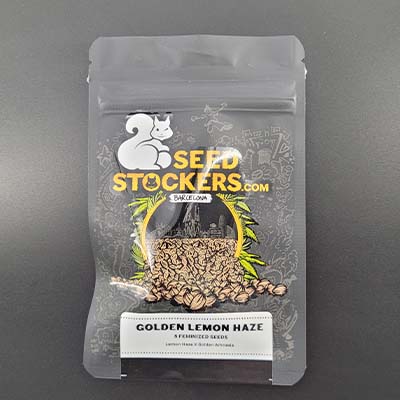 Golden Lemon Haze > Seed Stockers | Feminisierte Hanfsamen  |  Sativa