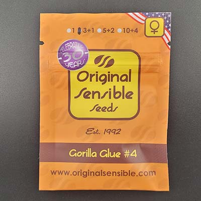 Gorilla Glue #4 > Original Sensible Seeds | Feminisierte Hanfsamen  |  Hybrid