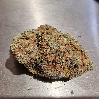 Gorilla Melon > Fast Buds Company | Semillas feminizadas  |  Híbrido