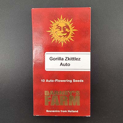 Gorilla Zkittlez Auto > Barneys Farm | Hanfsamen Empfehlungen  |  TOP 10 Auto Flowering