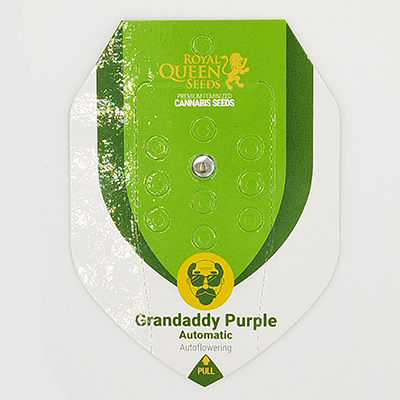 Auto Granddaddy Purple > Royal Queen Seeds | Semillas autoflorecientes  |  Índica