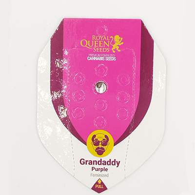 Granddaddy Purple > Royal Queen Seeds | Graines Féminisées  |  Indica