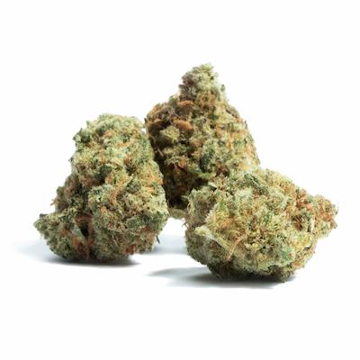 Haze Queen > Anesia Seeds | Feminized Marijuana   |  Sativa