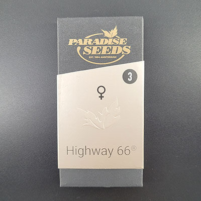 Highway 66 > Paradise Seeds | Graines Féminisées  |  Sativa