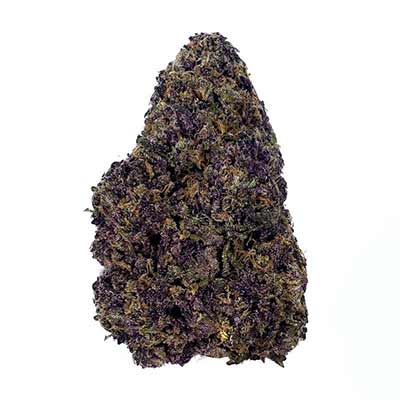 Huckleberry Punch > Elev8 Seeds | Feminized Marijuana   |  Hybrid