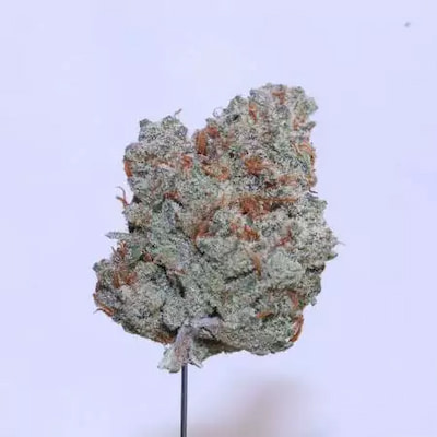 Imperium X > Anesia Seeds | Feminized Marijuana   |  Hybrid