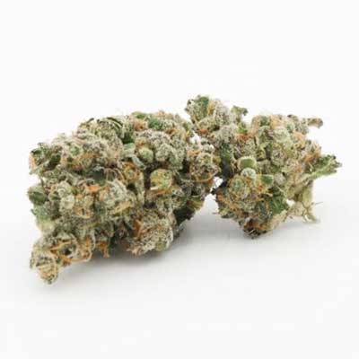 Jealousy > Barney\'s Farm | Feminized Marijuana   |  Hybrid