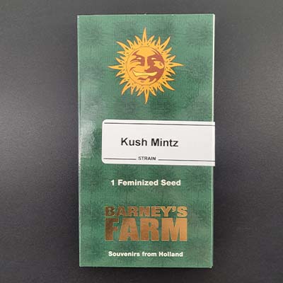 Kush Mintz > Barneys Farm | Feminisierte Hanfsamen  |  Indica