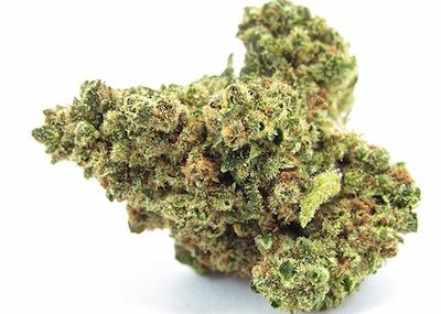 Legendary OG Kush > Royal Queen Seeds | Feminized Marijuana   |  Indica