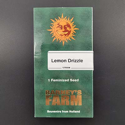 Lemon Drizzle > Barneys Farm | Feminisierte Hanfsamen  |  Sativa