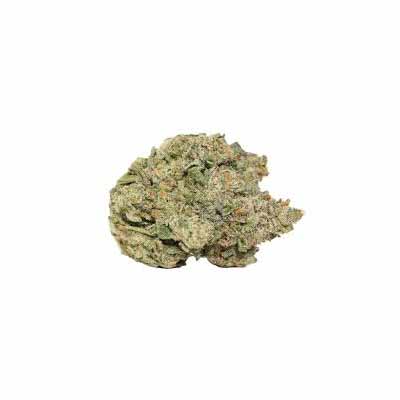 Lemon Ghost Train > Rare Darkness | Feminized Marijuana   |  Sativa