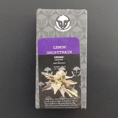 Lemon Ghost Train > Rare Darkness | Semillas feminizadas  |  Sativa