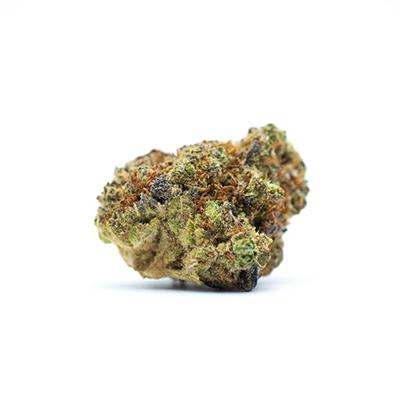 Lemon OG Candy Auto > Philosopher Seeds | Graines Autofloraison  |  Sativa