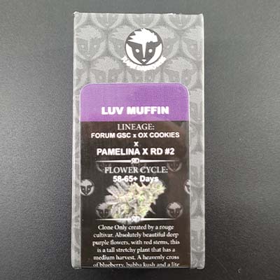 Luv Muffin > Rare Dankness Seeds | Feminisierte Hanfsamen  |  Hybrid